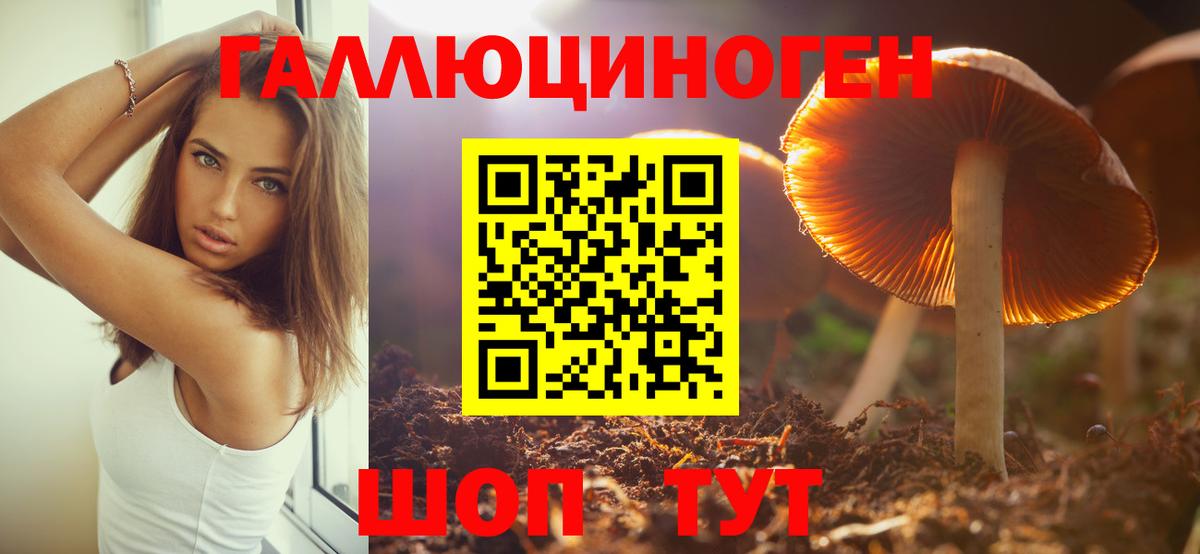 Псилоцибиновые грибы GOLDEN TEACHER Старый Оскол