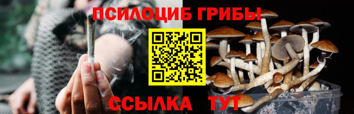 Галлюциногенные грибы мицелий  Вход с VPN  Старый Оскол 